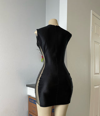 Ships in 1 to 3 Days - Sultry Sheer Mini Dress with Glitter Appliques