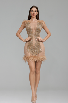 Sheer Nude Crystal Embroidered Mini Dress with Feather Trim - LAROSABRIDE
