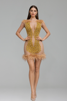 Sheer Nude Crystal Embroidered Mini Dress with Feather Trim - LAROSABRIDE