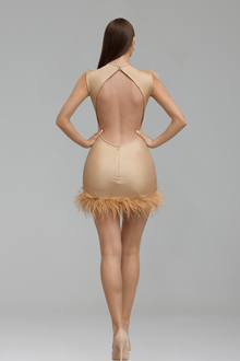 Sheer Nude Crystal Embroidered Mini Dress with Feather Trim - LAROSABRIDE
