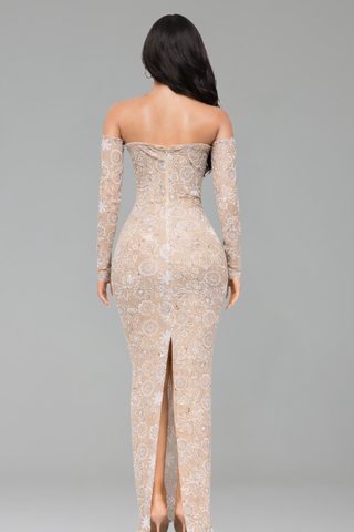 Off-Shoulder Lace Illusion Gown