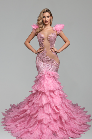 Feathered Illusion Mermaid Evening Dress