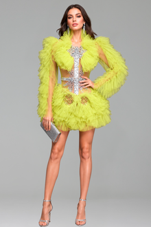 Ruffled Tulle Embellished Mini Dress - LAROSABRIDE