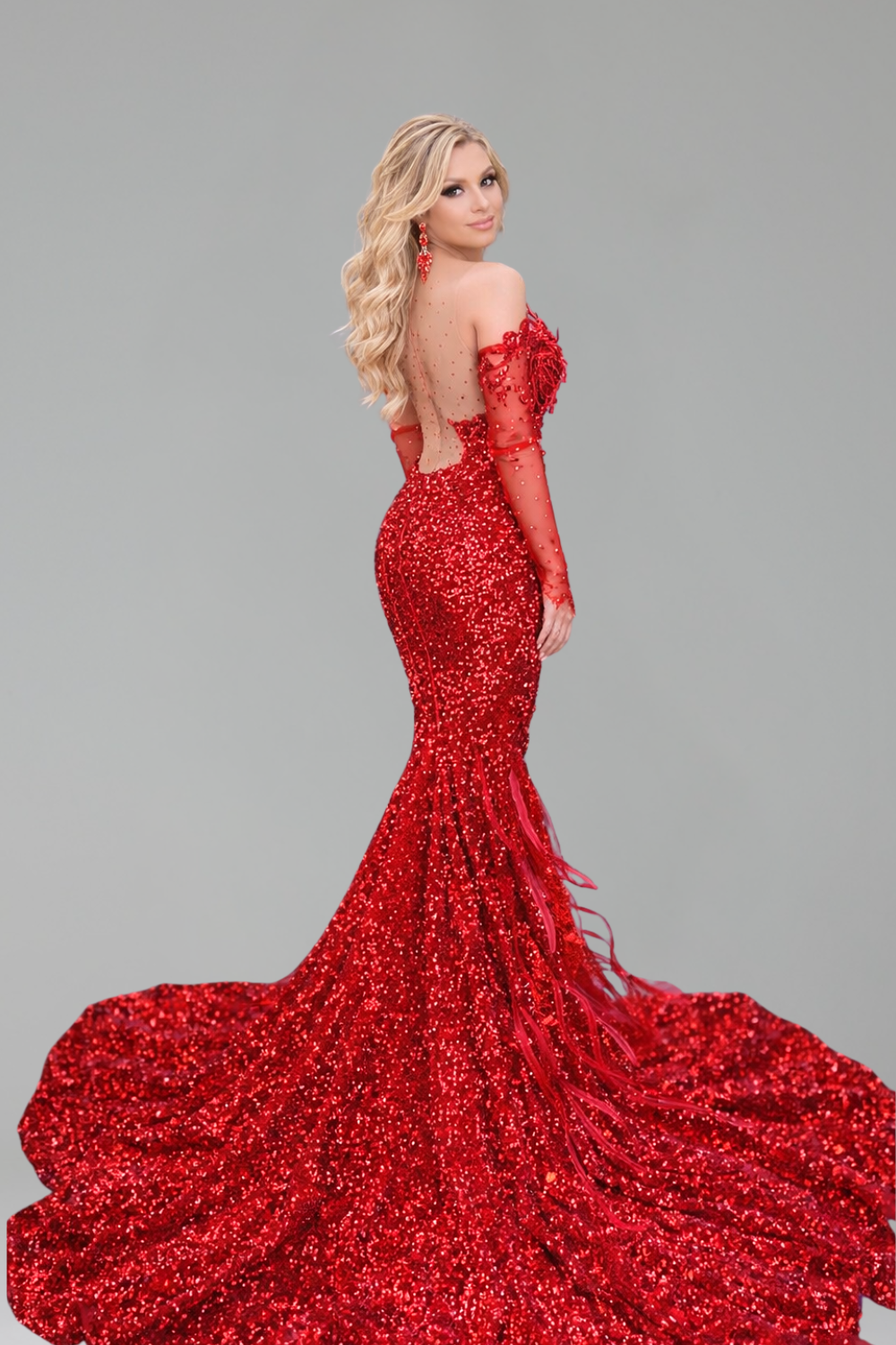 Embellished Illusion Mermaid Train Gown - LAROSABRIDE