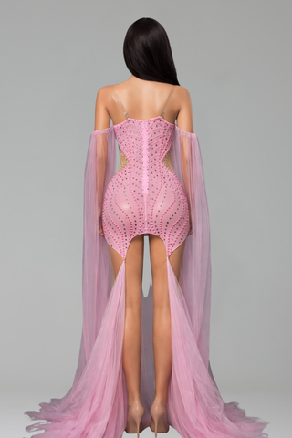 Embellished Mesh Tulle Gown