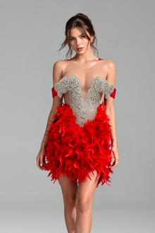 Red Feather Embellished Mini Dress - LAROSABRIDE