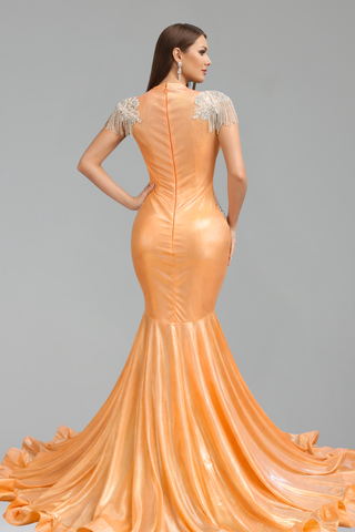 Beaded Fringe Mermaid Gown