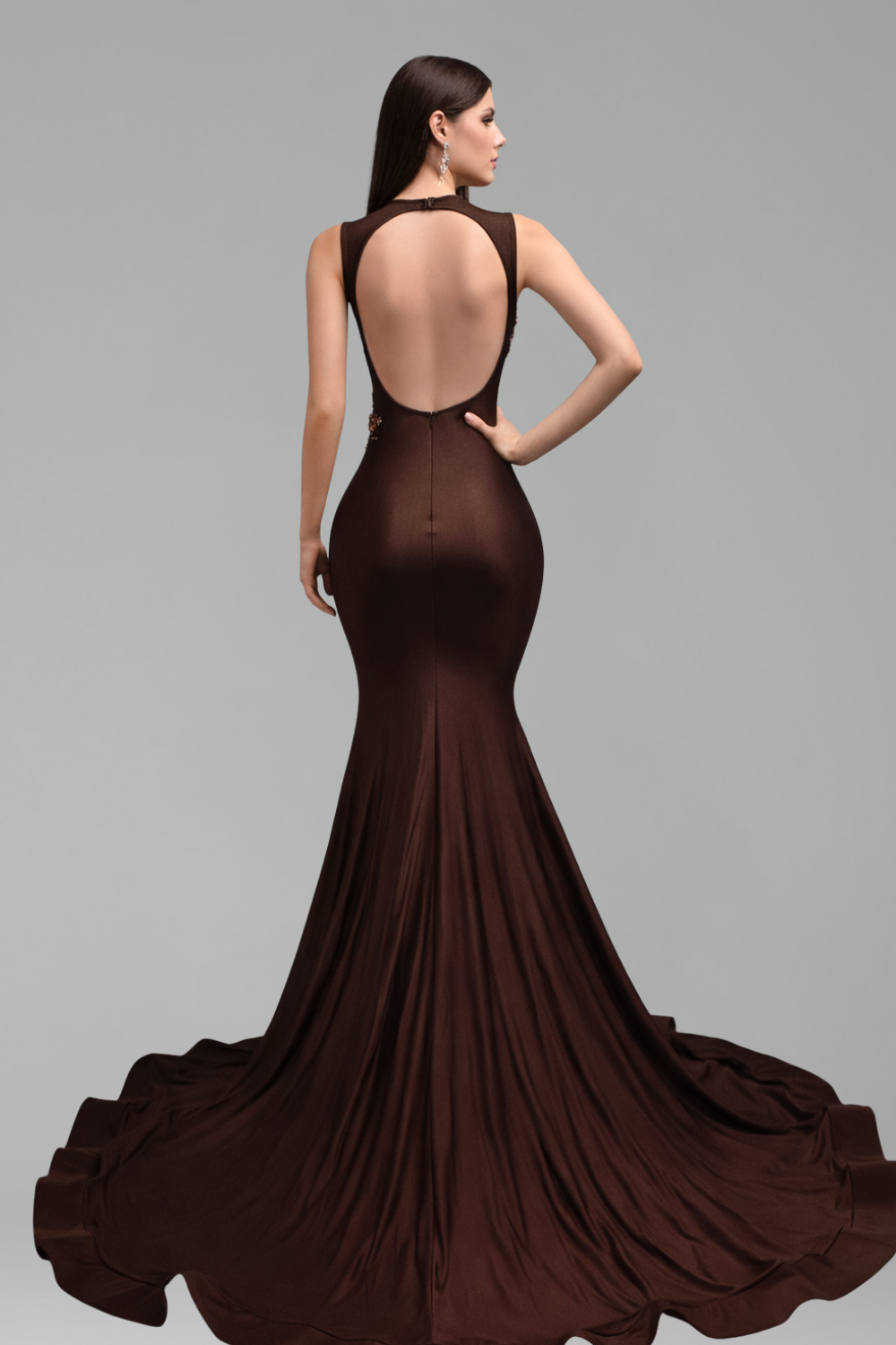 Embellished Illusion Mermaid Dress - LAROSABRIDE