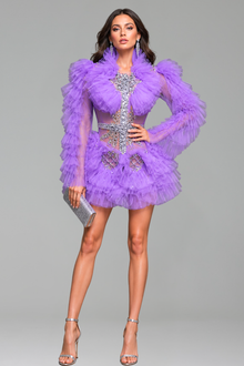 Ruffled Tulle Embellished Mini Dress - LAROSABRIDE