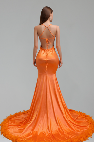Feather Trim Embellished Mermaid Gown