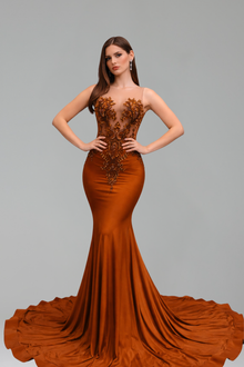 Illusion Appliqu� Mermaid Train Gown - LAROSABRIDE
