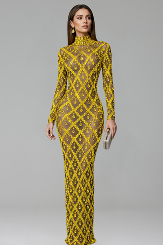 Ruby Diamond Illusion Gown