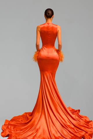 Illusion Feather Detail Mermaid Gown
