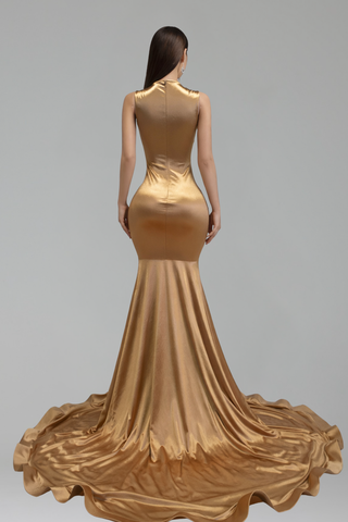 Illusion Appliqué Mermaid Evening Gown
