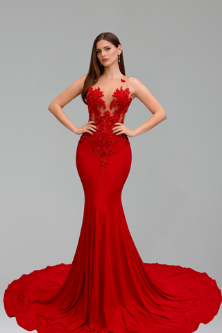 Illusion Appliqu� Mermaid Train Gown - LAROSABRIDE
