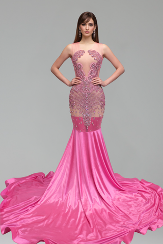 Illusion Embellished Mermaid Train Gown - LAROSABRIDE