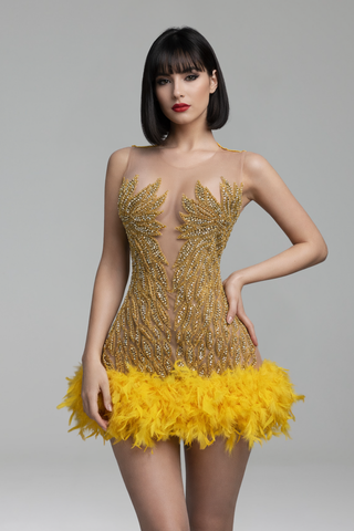Illusion Embellished Feather Trim Mini Dress - LAROSABRIDE