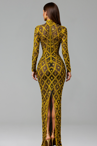 Ruby Diamond Illusion Gown