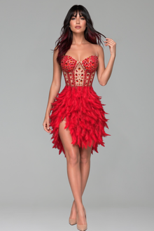 Crystal Corset Feather Mini Dress - LAROSABRIDE