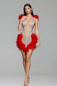 Feather Trim Embellished Illusion Mini Dress - LAROSABRIDE