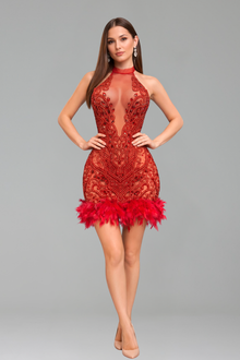 Embellished Illusion Feather Hem Dress - LAROSABRIDE