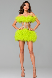 Feathered Corset Mini Dress - LAROSABRIDE