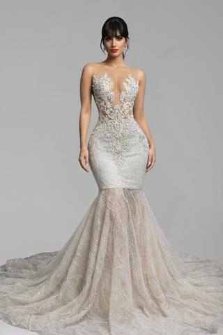 Illusion Lace Embellished Mermaid Gown - LAROSABRIDE