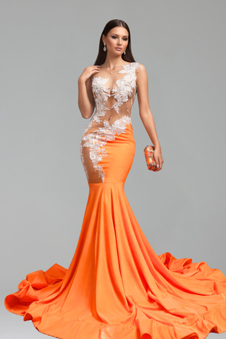 Sheer Appliqu� Mermaid Gown - LAROSABRIDE