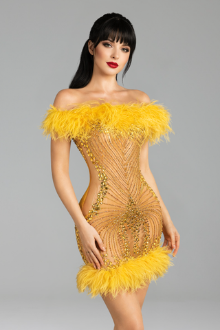Feathered Embellished Sheer Mini Dress - LAROSABRIDE