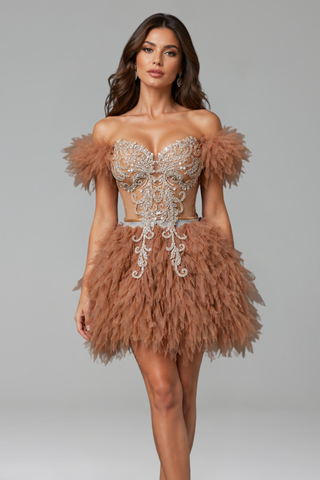 Feathered Corset Embellished Mini Dress - LAROSABRIDE