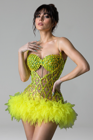 Sheer Corset Sequin Tulle Mini Dress - LAROSABRIDE