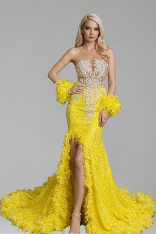 Sheer Appliqu� Feather Mermaid Dress - LAROSABRIDE