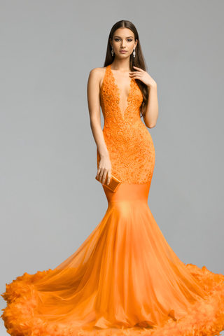 Embellished Deep Neck Feathered Mermaid Gown