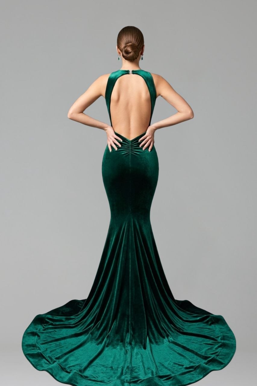 Velvet Embellished Illusion Mermaid Gown - LAROSABRIDE