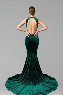 Velvet Embellished Illusion Mermaid Gown - LAROSABRIDE